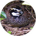 Stuart S. profile picture