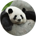 Jesse Epstein (. profile picture