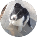 CalderJohnson profile picture