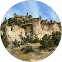 Michelle C profile picture