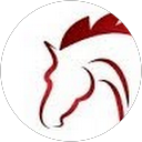 Mark N. profile picture