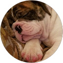 Joe F. profile picture