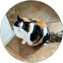 C H. profile picture