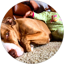 Thomas C. profile picture