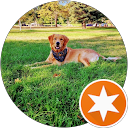 BigskyGems M. profile picture