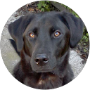 Daniel W. profile picture