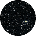 Connie P. profile picture