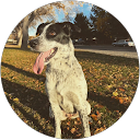 Kellen W. profile picture