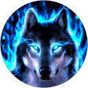 G N. profile picture