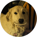 Nechtan G. profile picture