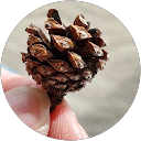 Terri C. profile picture