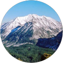 Michelle L. profile picture