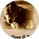 Audrey S. profile picture