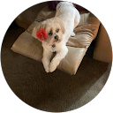 Beverly F. profile picture