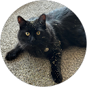 McKenna B. profile picture