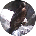 N O. profile picture