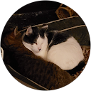 Tom C. profile picture