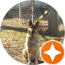 Joel K. profile picture