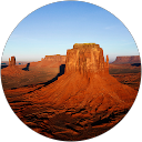 David W. profile picture