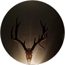 Benjamin profile picture