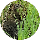 vincent R. profile picture