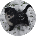 Bailey B. profile picture